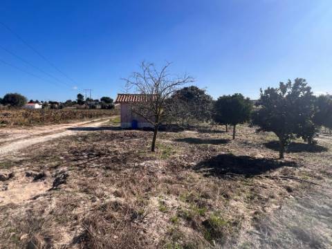 Terreno, Vale da Abrunheira Palmela