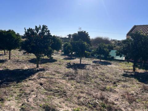 Terreno, Vale da Abrunheira Palmela