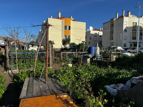 Terreno, Moita, Setúbal