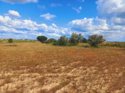 Terreno, Lau, Palmela