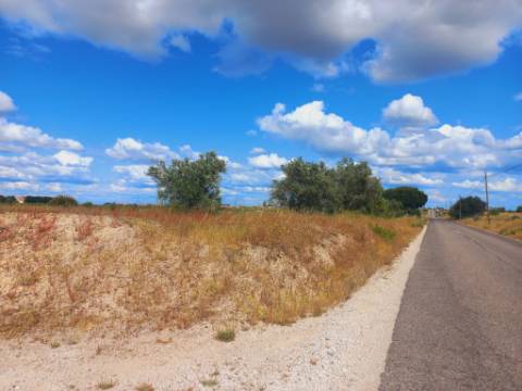 Terreno, Lau, Palmela