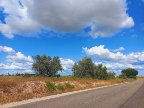 Terreno, Lau, Palmela