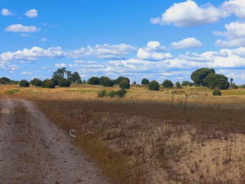 Terreno, Lau, Palmela