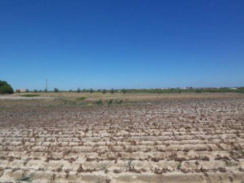 Terreno, Lau, Palmela