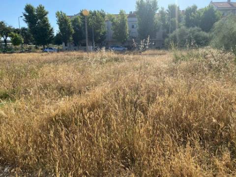 Lote, Aires, Palmela