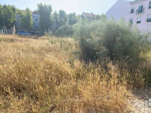 Lote, Aires, Palmela