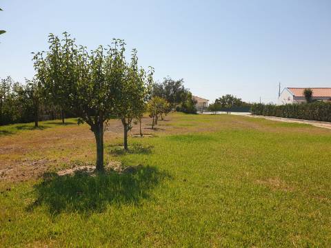 Quinta T7, Vale da Abrunheira, Palmela