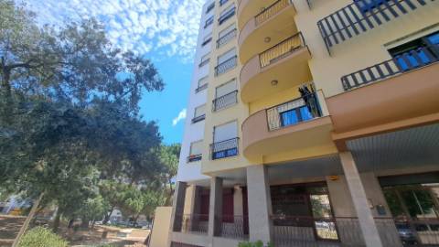 Loja, Vanicelos, Setúbal