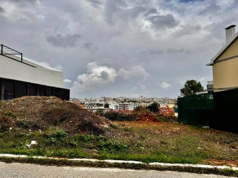 Lote, Brancanes, Setúbal