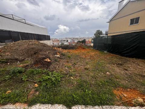 Lote, Brancanes, Setúbal