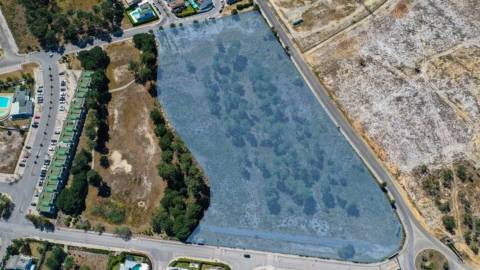 Terreno, Palmela, Setúbal