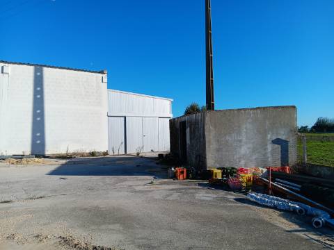 Armazém, Jardia, Montijo