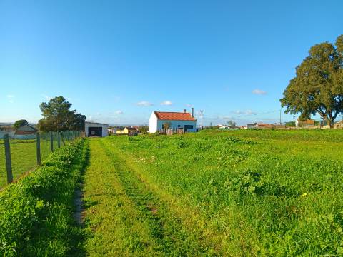 Armazém, Jardia, Montijo