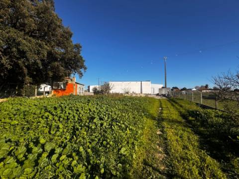 Armazém, Jardia, Montijo