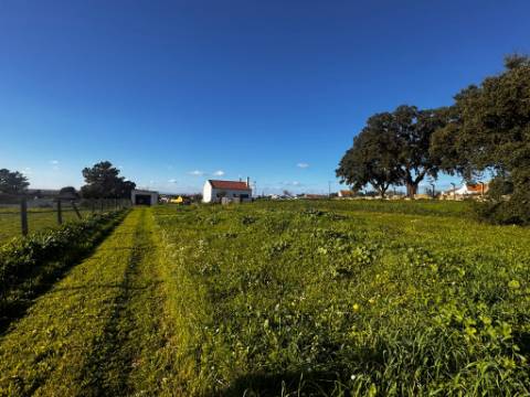 Armazém, Jardia, Montijo