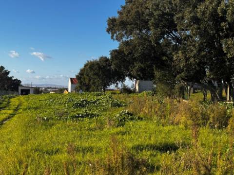 Armazém, Jardia, Montijo