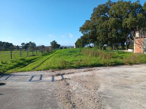 Armazém, Jardia, Montijo