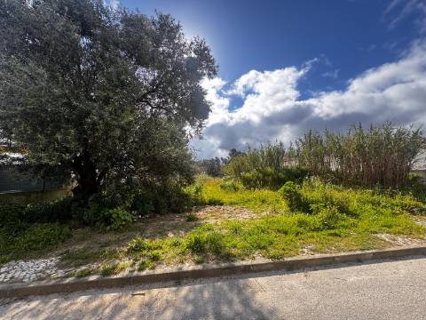 Lote , Aldeia de Irmãos, Azeitão, Setúbal