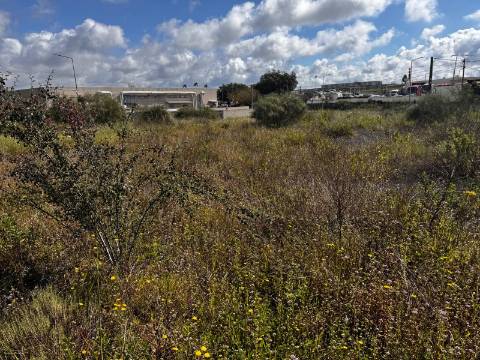 Lote ,Nova azeda;Setúbal