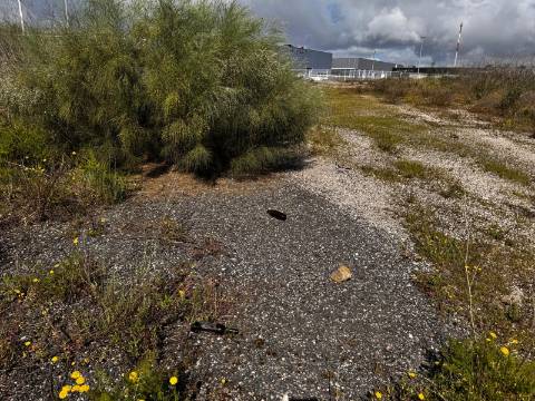 Lote ,Nova azeda;Setúbal