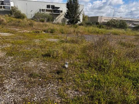 Lote ,Nova azeda;Setúbal
