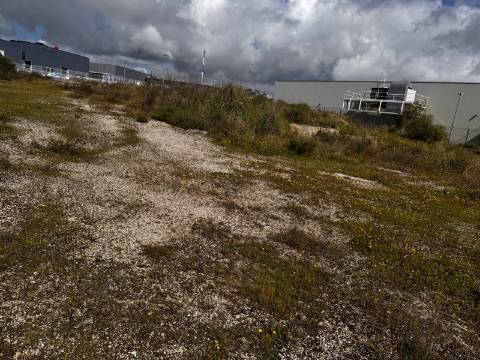 Lote ,Nova azeda;Setúbal