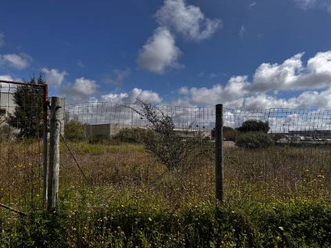 Lote ,Nova azeda;Setúbal