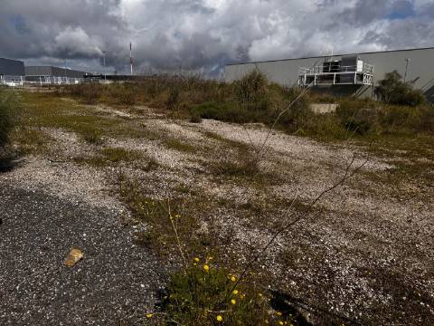 Lote ,Nova azeda;Setúbal