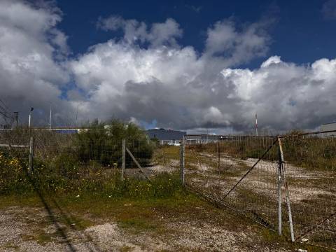 Lote ,Nova azeda;Setúbal