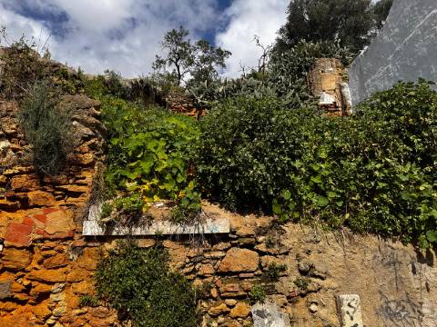 Lote , Fonte Nova, Setubal