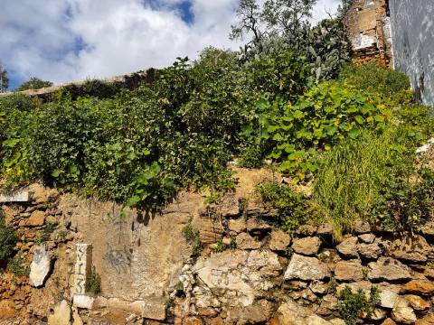 Lote , Fonte Nova, Setubal