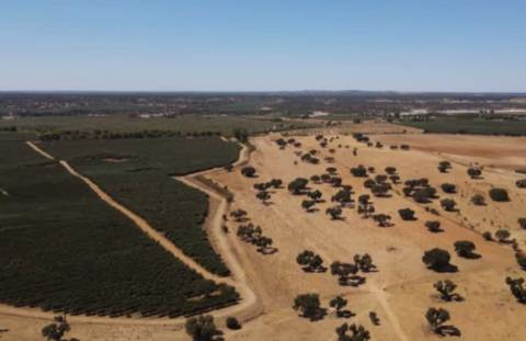 Terreno , Avis, Portalegre