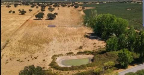 Terreno , Avis, Portalegre