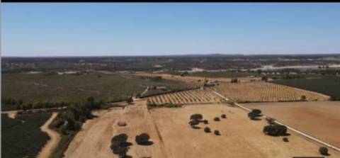 Terreno , Avis, Portalegre