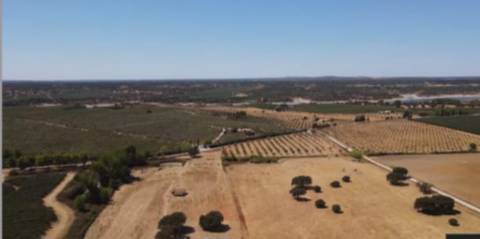 Terreno , Avis, Portalegre