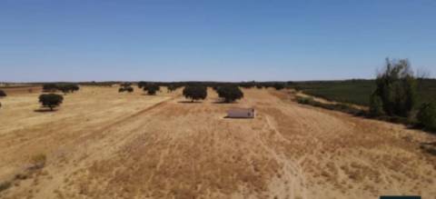 Terreno , Avis, Portalegre