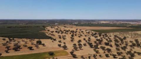 Terreno , Avis, Portalegre