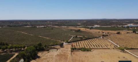 Terreno , Avis, Portalegre