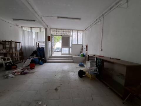 Loja, Tetra, Setúbal