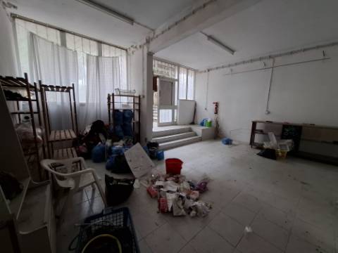 Loja, Tetra, Setúbal