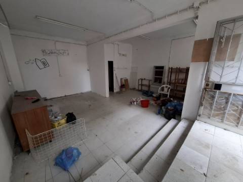 Loja, Tetra, Setúbal