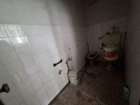 Loja, Tetra, Setúbal