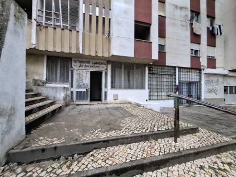 Loja, Tetra, Setúbal