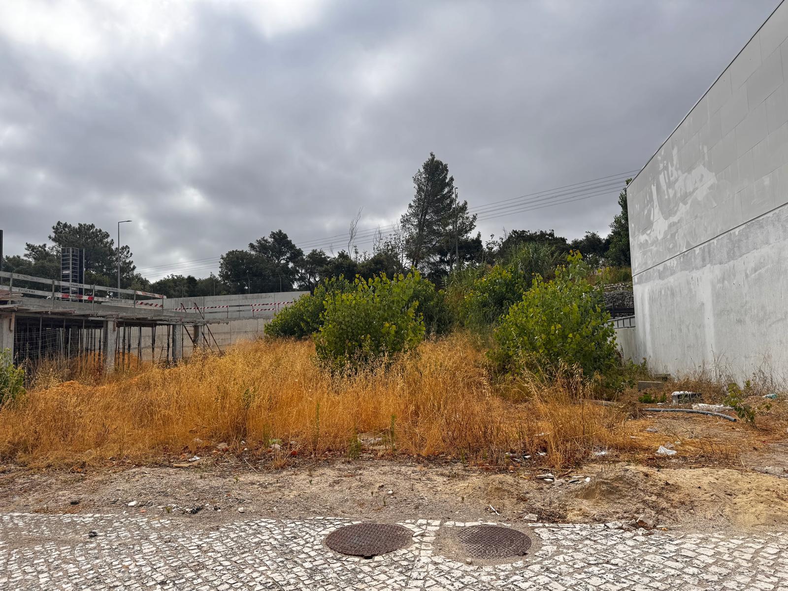 Lote, Jardins de Santiago, Setubal