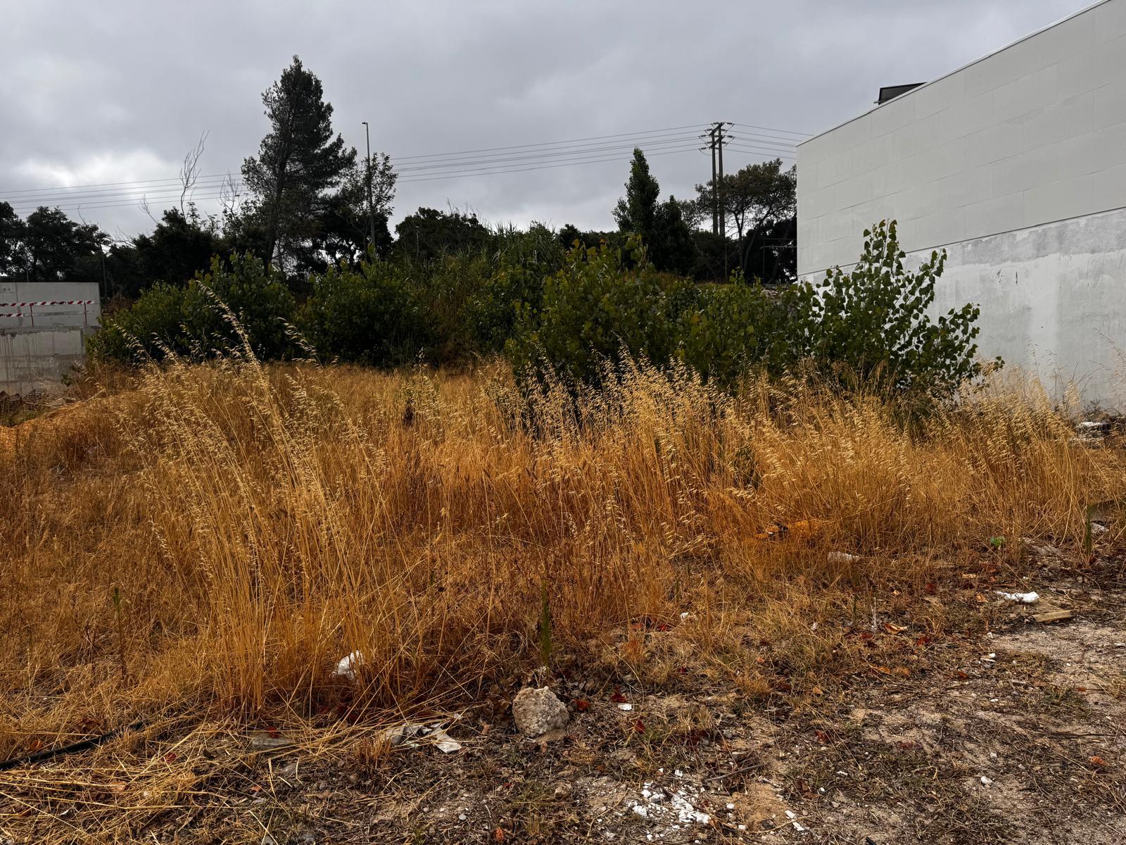 Lote, Jardins de Santiago, Setubal