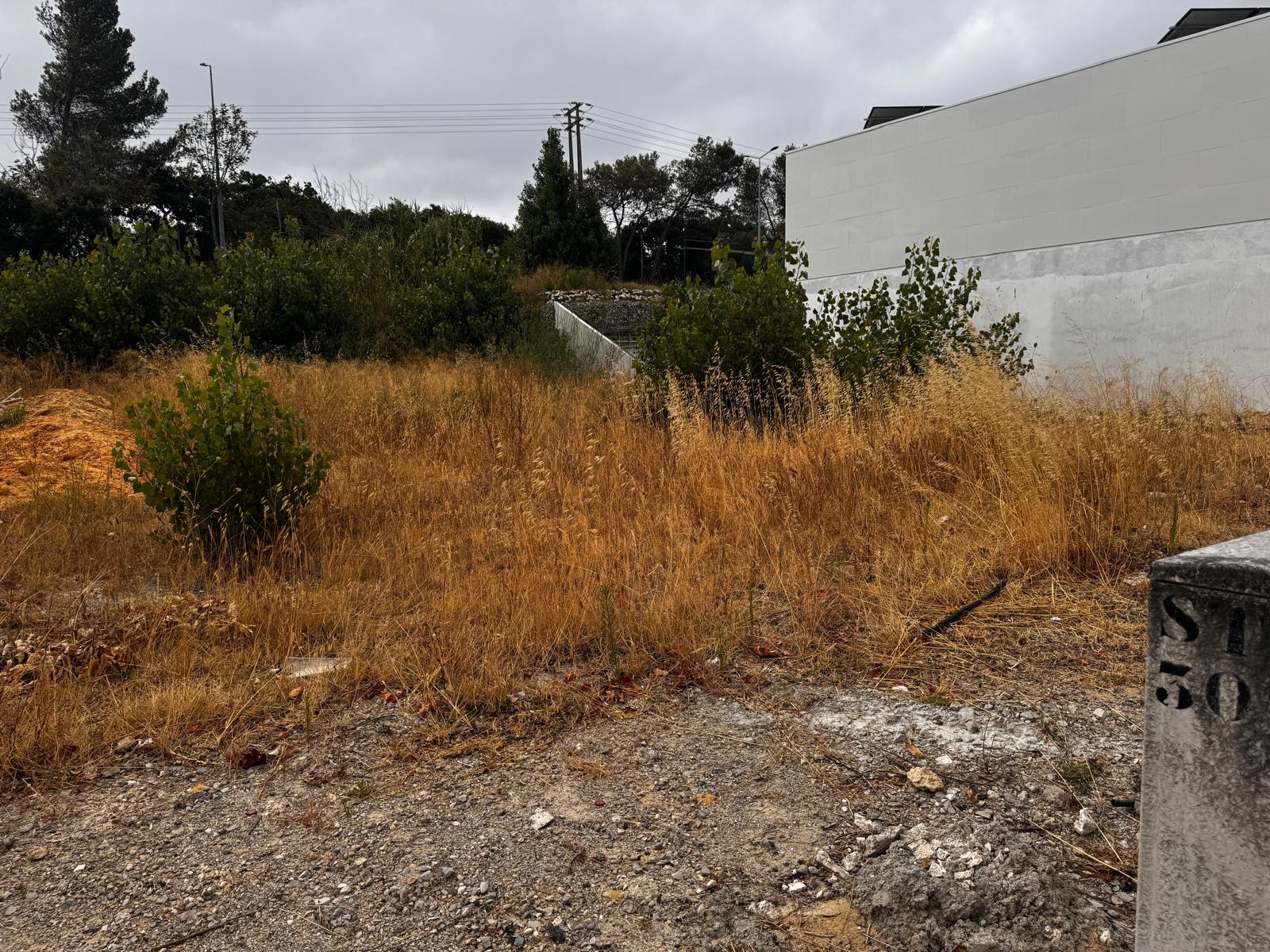 Lote, Jardins de Santiago, Setubal