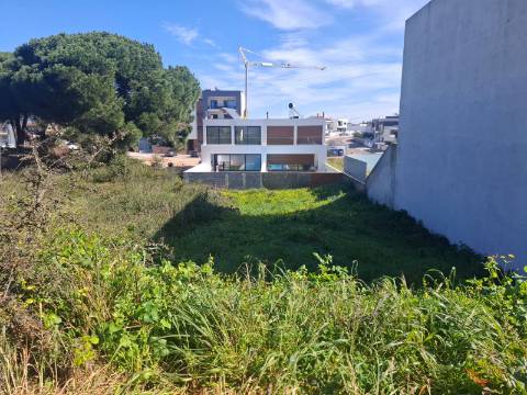 Lote, Quinta da Amizade, Setúbal