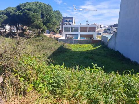 Lote, Quinta da Amizade, Setúbal