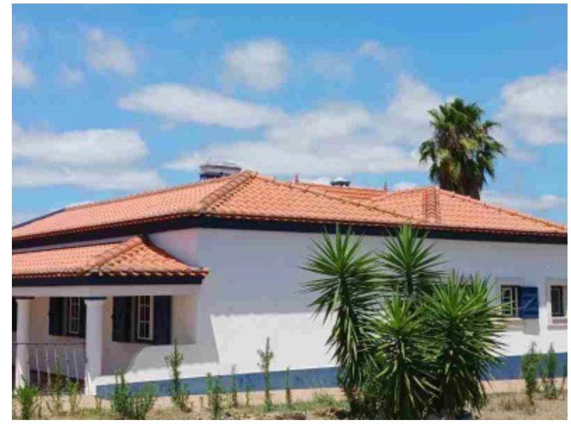Terreno Misto, Poceirão, Palmela