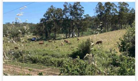 Herdade do Telheiro, Odemira, Beja